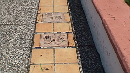 20110629112204(1).JPG