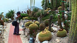 20110630135305(1).JPG