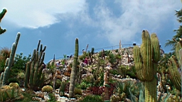 20110630141831(2).JPG