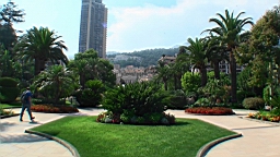 20110630162724(1).JPG
