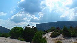 20110702110611(1).JPG