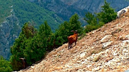20110702132903(1).JPG