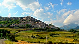 DSC00116.JPG