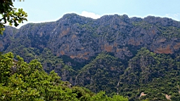 IMG_0822.JPG