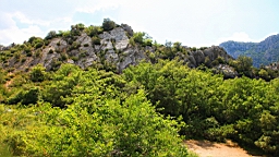 IMG_0826.JPG