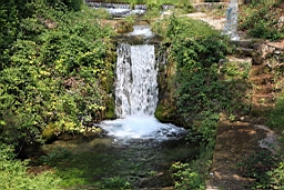 IMG_0856.JPG