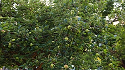IMG_0922.JPG