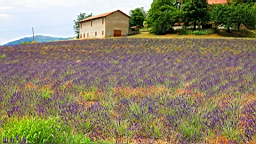 IMG_1099.JPG