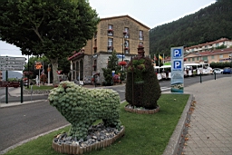 IMG_1140.JPG