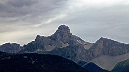 IMG_1143.JPG