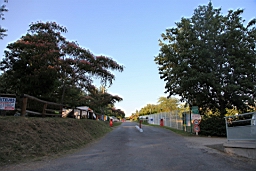 IMG_1237.JPG