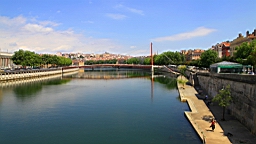 IMG_1263.JPG