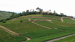 DSC00132.JPG