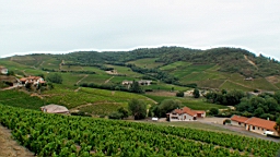 DSC00136.JPG