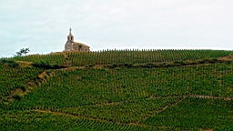 DSC00137.JPG