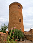 IMG_1373.JPG