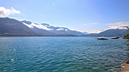 IMG_1381.JPG
