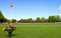 IMG_1393.JPG