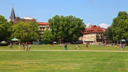 IMG_1395.JPG