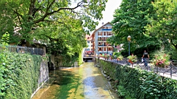 IMG_1418.JPG