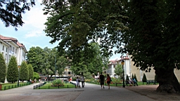 IMG_1419.JPG
