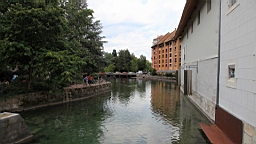 IMG_1421.JPG