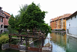 IMG_1423.JPG
