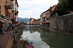 IMG_1446.JPG