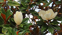 IMG_1464.JPG