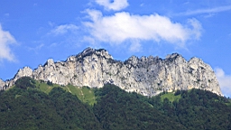 IMG_1471.JPG