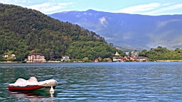 IMG_1478.JPG