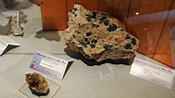 IMG_1633.JPG