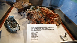 IMG_1635.JPG