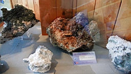 IMG_1637.JPG