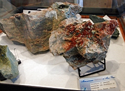 IMG_1639.JPG