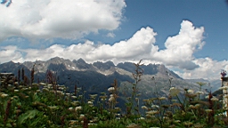 DSC00147.JPG