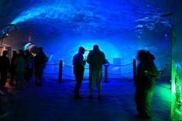 IMG_1724.JPG