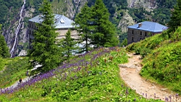 IMG_1765.JPG