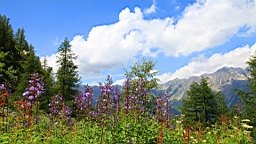 IMG_1766.JPG