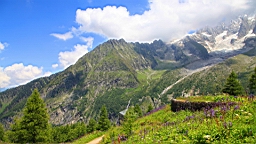 IMG_1768.JPG