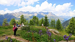 IMG_1769.JPG