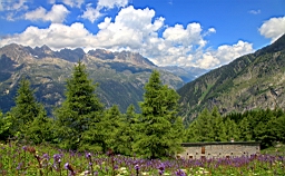 IMG_1771.JPG