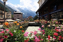IMG_1795.JPG