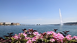 IMG_1839.JPG