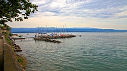 IMG_1869.JPG