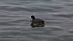 IMG_1896.JPG