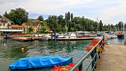 IMG_1898.JPG