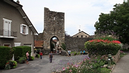 IMG_1909.JPG