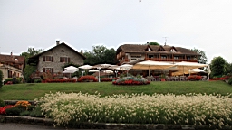 IMG_1910.JPG