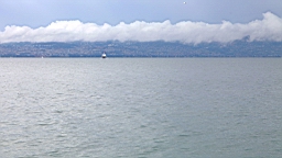 IMG_1919.JPG